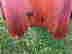 item-134249456=8