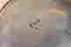 item-134249692=10