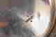 item-134249692=11