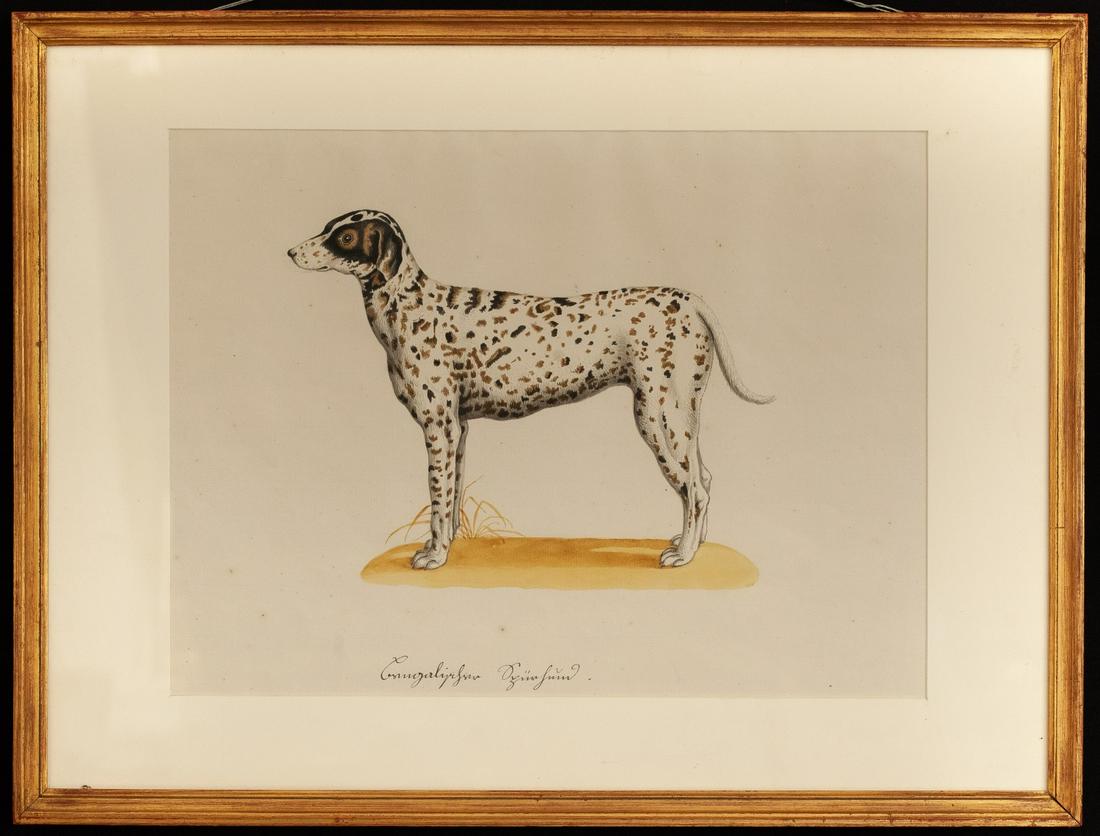 FRANZ ANTON VON SCHEIDEL (1731 - 1801) (1 of 7)