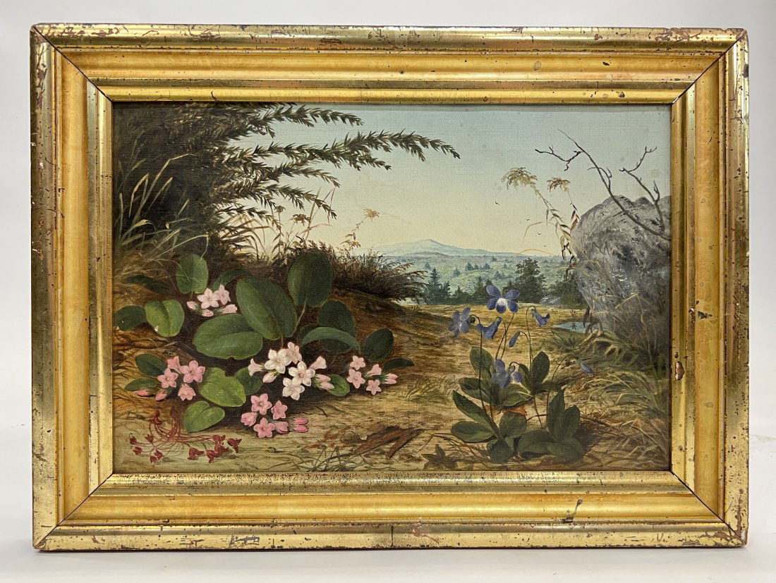 AMERICAN SCHOOL (19th c) Mountain Flora (1 of 5)