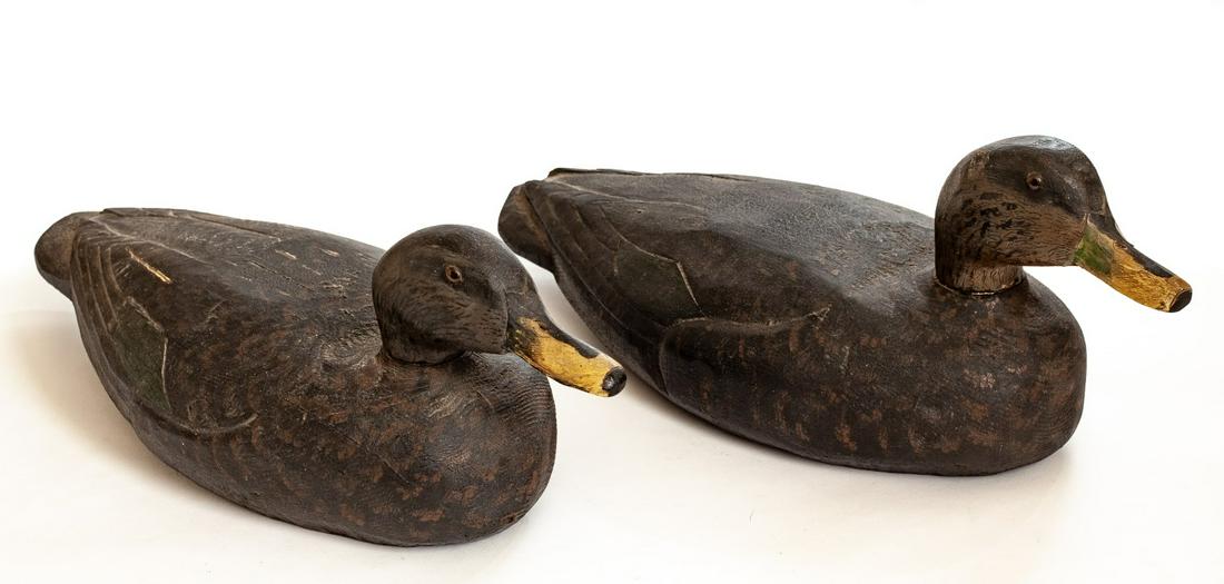 C1910 PAIR of CARVED & PAINTED TEAL HENS: Attributed to Charles Hart (1862-1960 of Gloucester, Mass) Solid body, glass eyes 7 x 17 1/2 x 7 inches