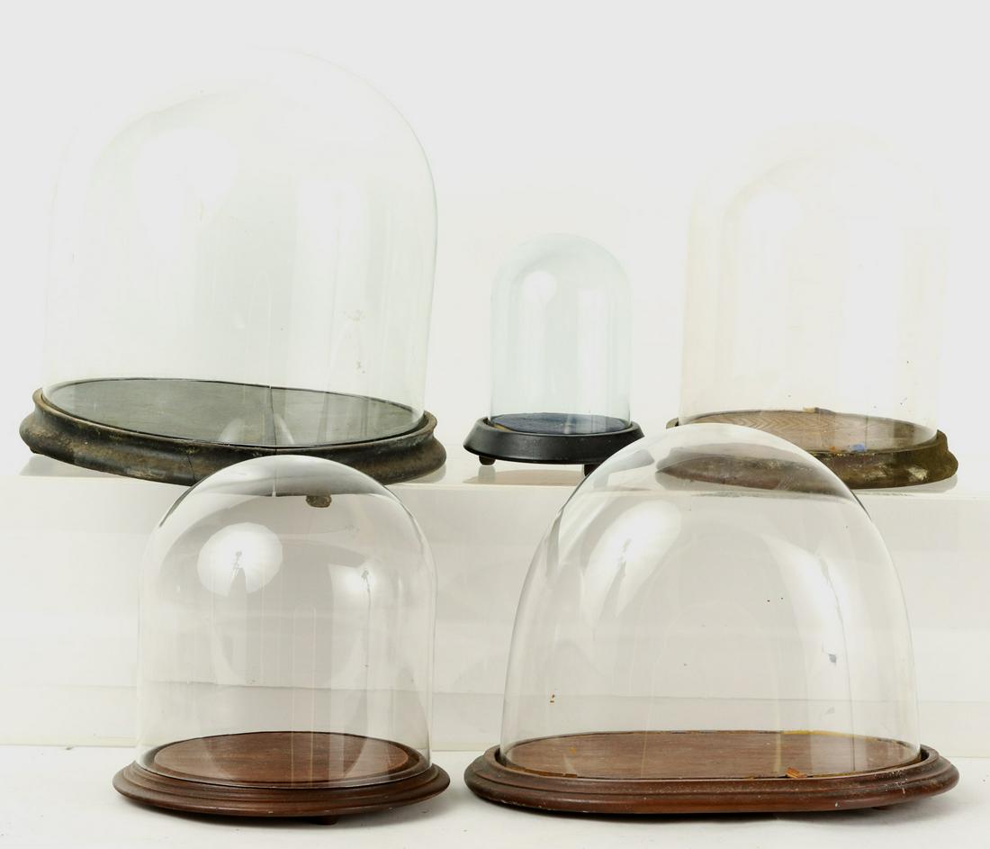 (4) Glass Dome Top Display Cases