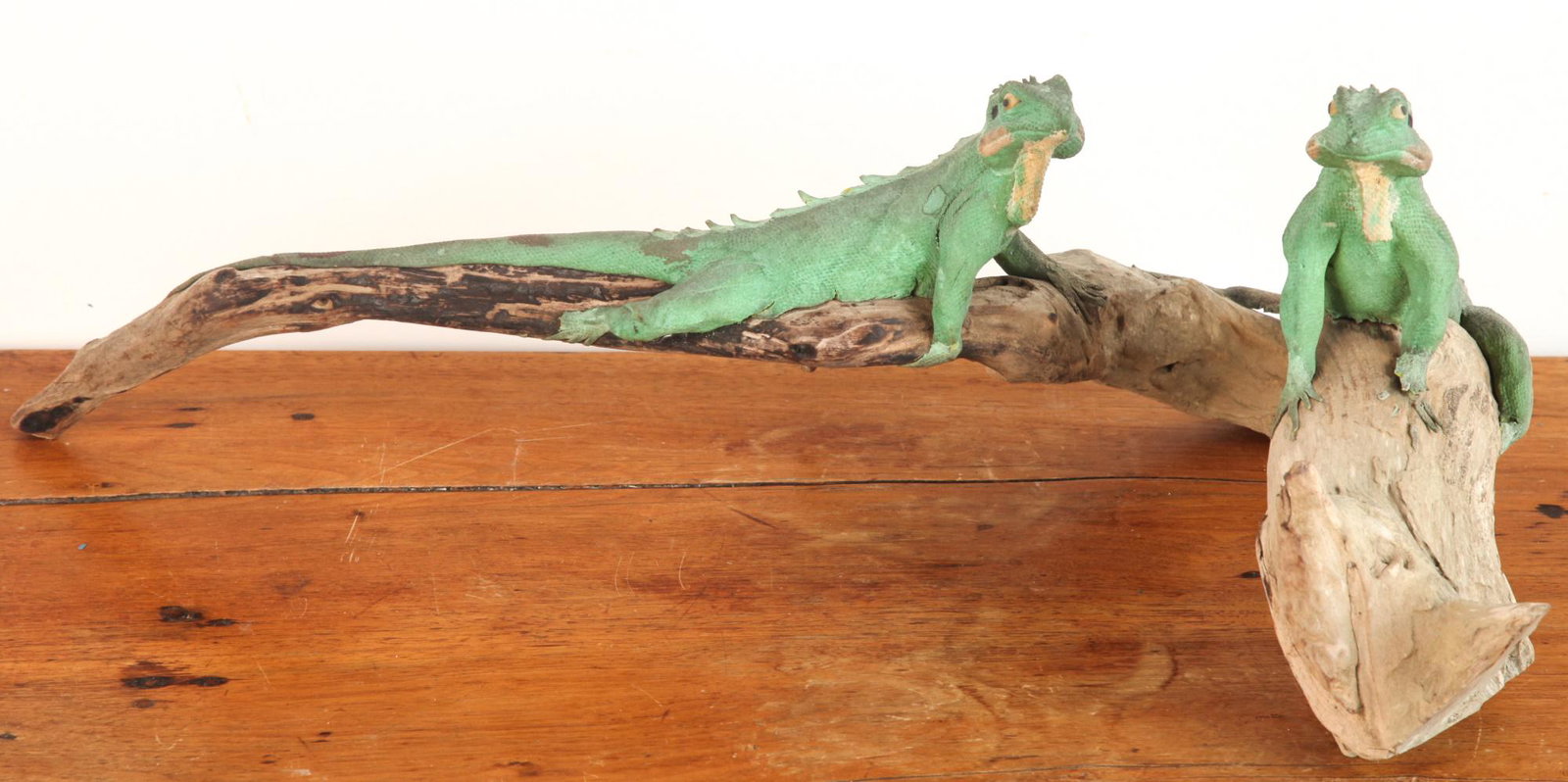 REALISTIC SCULPTURE of IGUANAS on DRIFTWOOD BASE: Original and realistic sculpted and painted figure group. unknown material not plaster or plastic