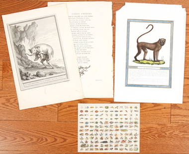 (3) ANIMAL PRINTS including FABLES CHOISES etc: Period Jean de la Fontaine "Lese Deux Avanturiers et le Talisman" by Oudry, (1686 - 1755) on laid paper. Together with Monkey / H. Mangabei and a printed page of hand colored animals. 16 x 11 inches (