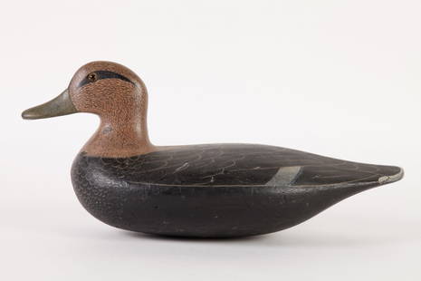 EARLY WORKING BLACK DUCK DECOY: with great original paint, 14 1/2 inches.