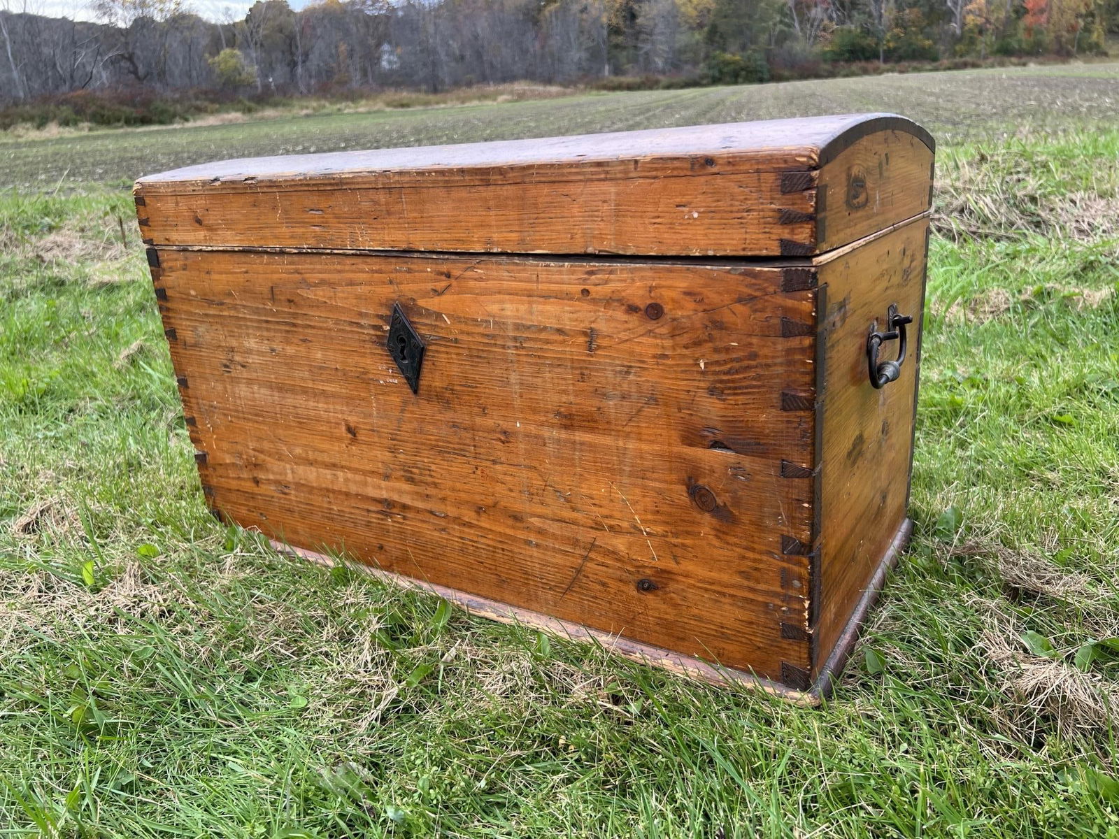 EARLY PINE DOME-TOP TRUNK (1 of 11)