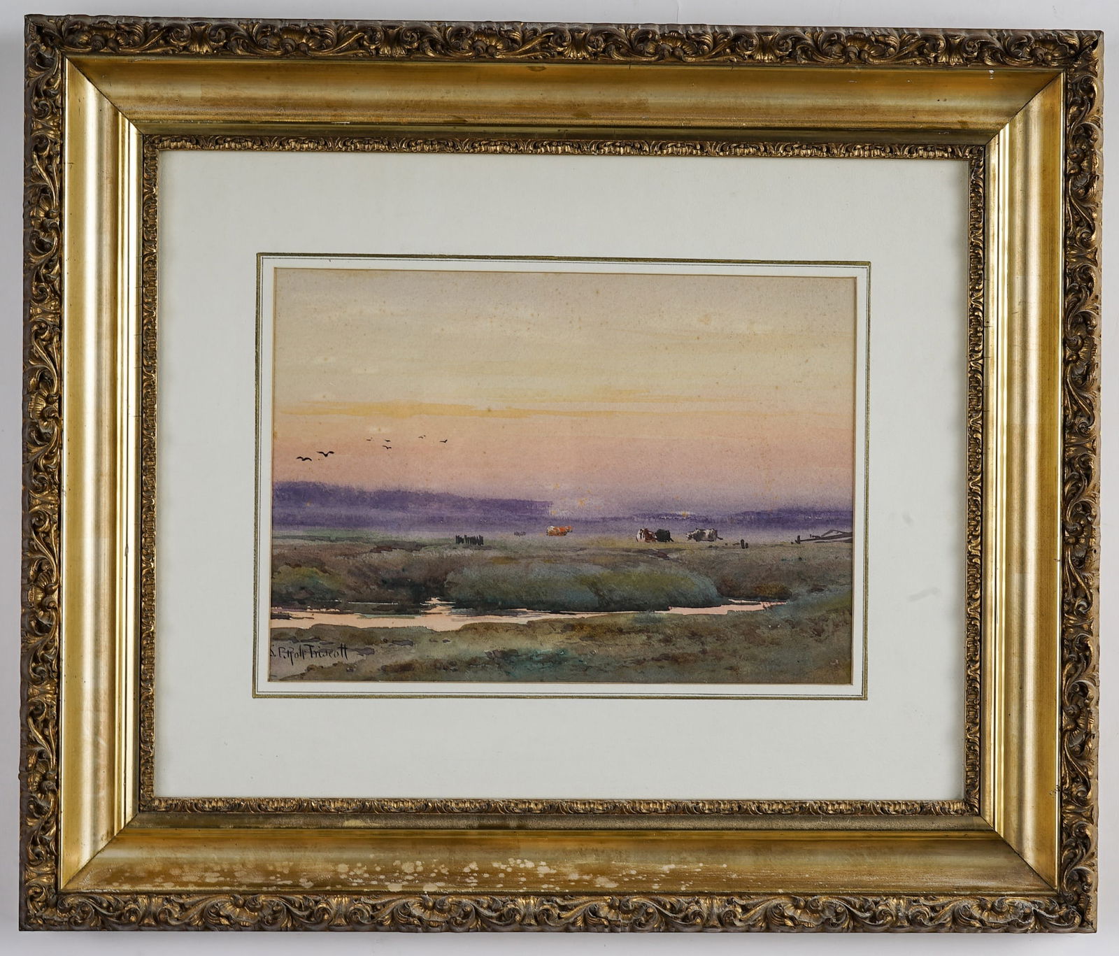 S. P. R. TRISCOTT (1846-1925) (1 of 7)