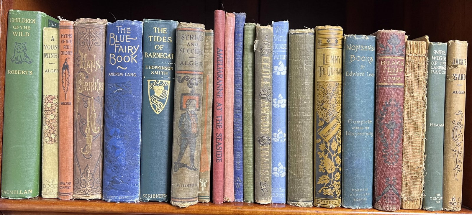 (21) YOUNG ADULT AND CHILDREN'S BOOKS: "Myths of the Red Children", "The Silver Skates", "The Blue Fairy Book", "Children of the Wild", etc. See pics for more info.