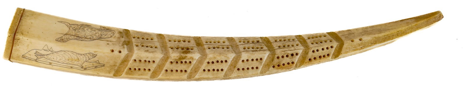 ALASKAN ESKIMO ARTS & CRAFTS CRIBBAGE BOARD: Carved walrus tusk with scrimshaw seals. 14 1/2 inches