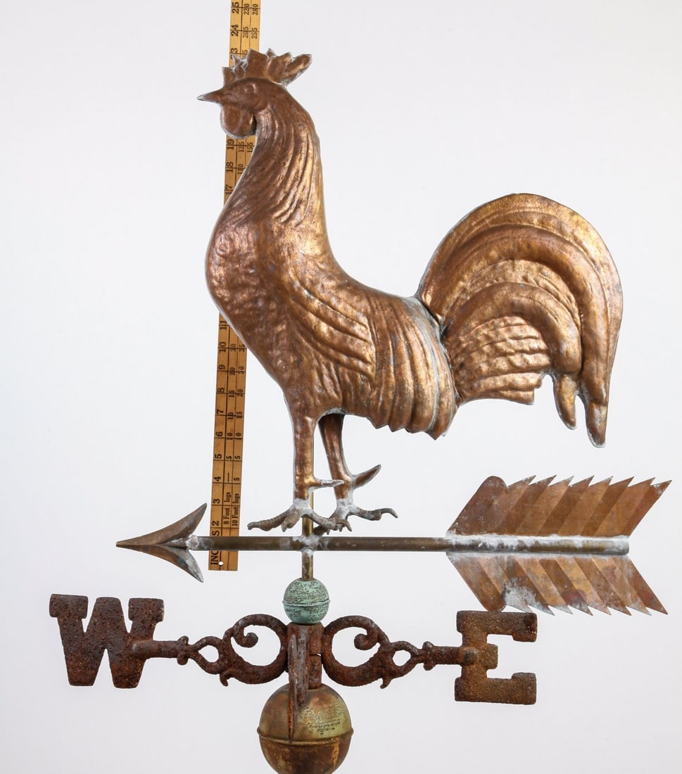 THE ROOSTER on ARROW (1 of 12)