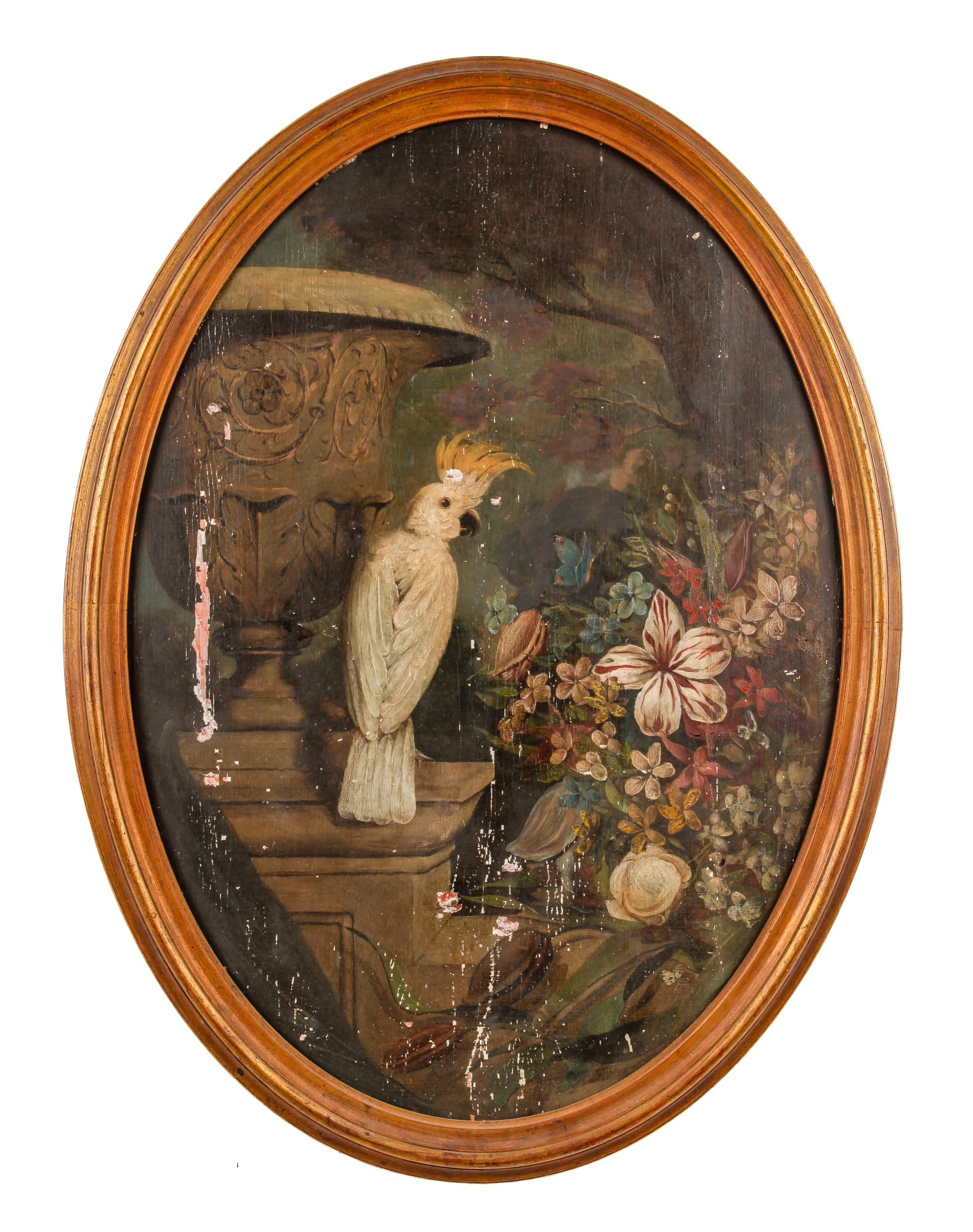 ITALIAN SCHOOL (19th c): "Still Life with Cockatoo", oil & plaster on board, unsigned. 40 x 28 1/2 inches; 44 x 33 inches overall including frame.