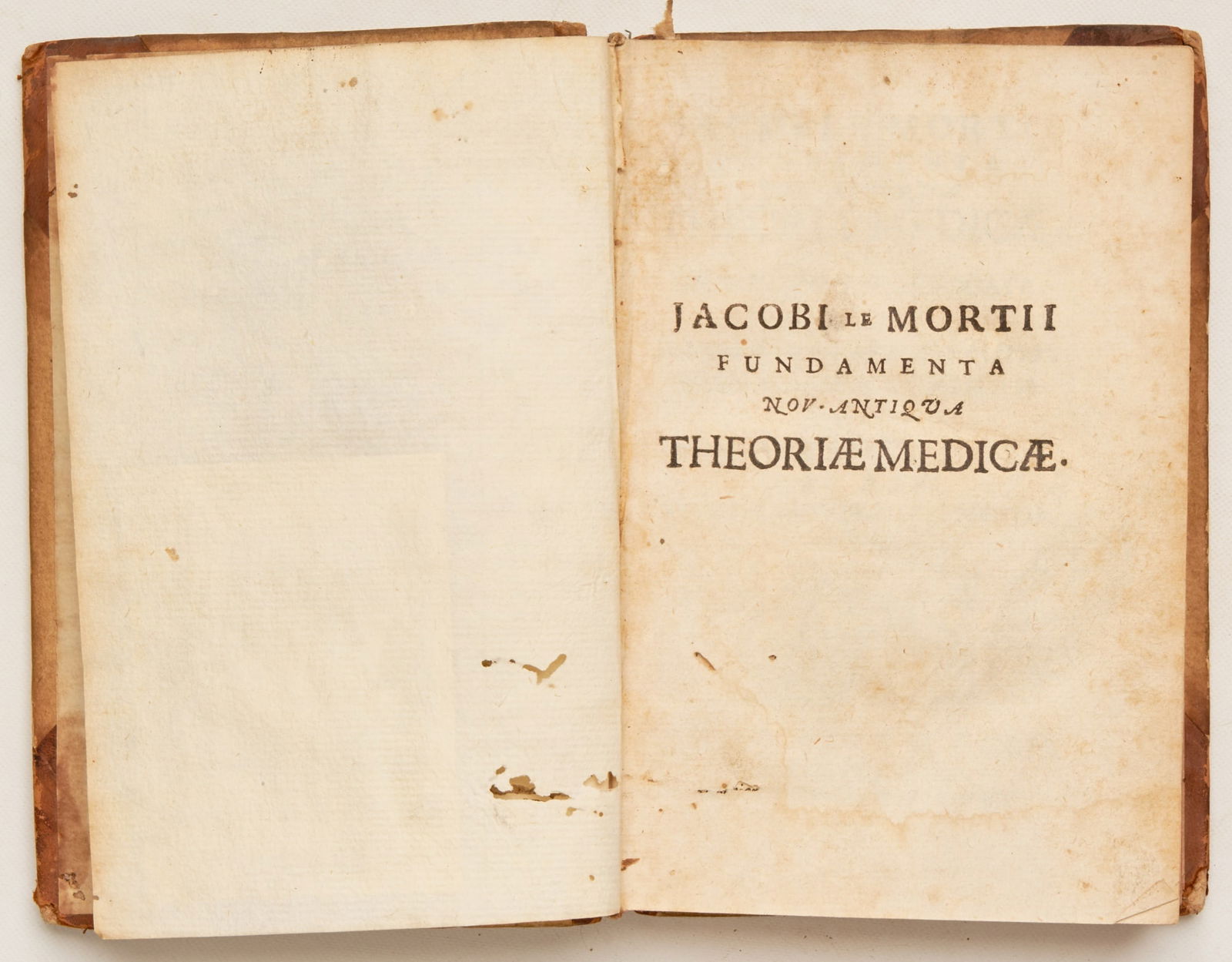 LE MORT, Jakob (1 of 6)