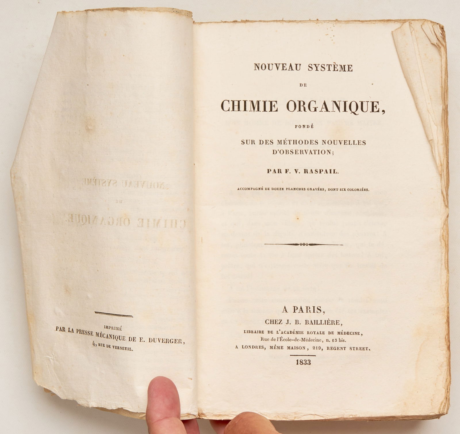 RASPAIL, F.V. (1 of 16)