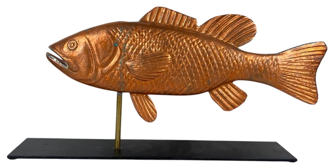 THE COD FISH (1 of 8)