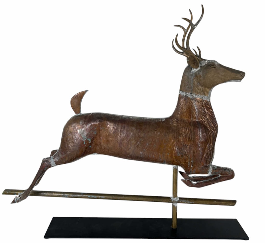 THE DEER ANTLERS BACK (1 of 14)