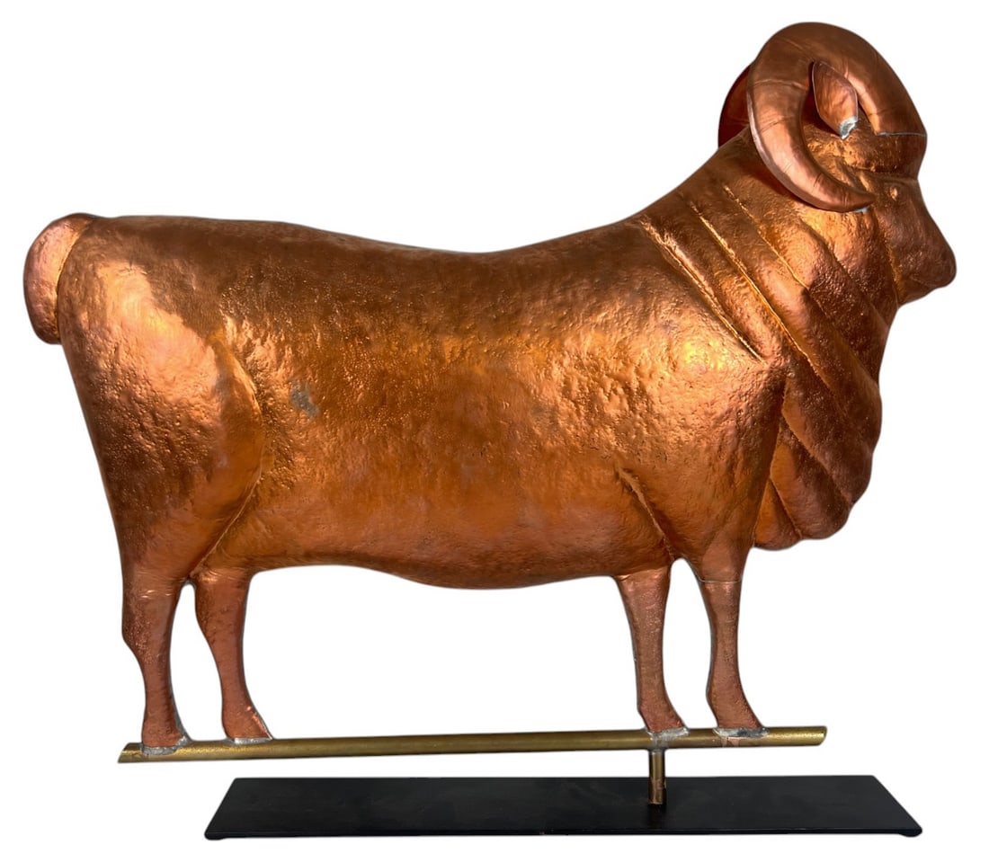 THE MERINO RAM (1 of 12)