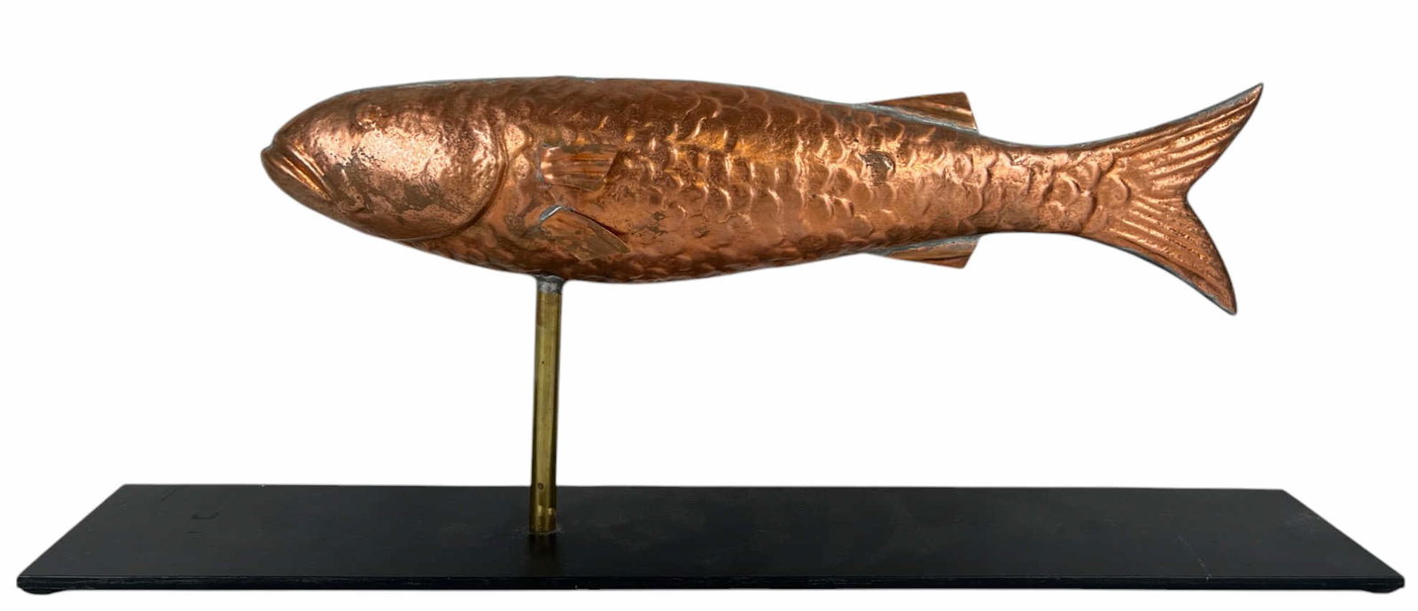 THE 18" COD FISH (1 of 9)