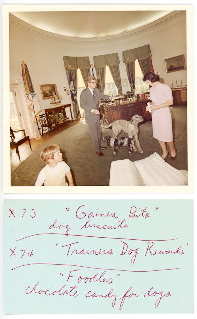 1963-Oct 24, J.F.K., Dogs in White House: (1) Color photograph, later reprint, of J.F.K. feeding "Shannon and Wolf" in the White House with John, Jr. present. 5" x 5". J.F.K. in the photo is wearing horn rimmed, tortoise-shell glasses which t