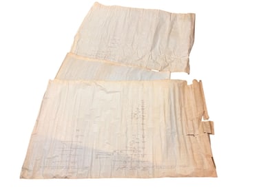 EXTENSIVE GENEALOGICAL RECORD OF THE DALLAS FAMILY