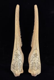 PAIR of (19th c) SCRIMSHAW PORPOISE JAWS
