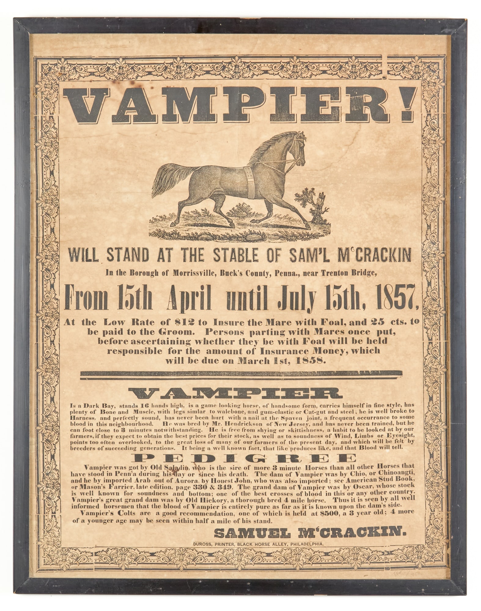 1857 PA "VAMPIER" HORSE BREEDING BROADSIDE (1 of 4)