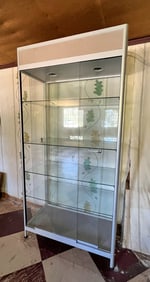 LARGE GLASS STORE DISPLAY CABINET