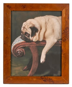 KATE GRISWOLD (b. 1954) Portrait of a Pug