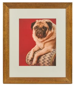 KATE GRISWOLD (b. 1954) Portrait of a Pug