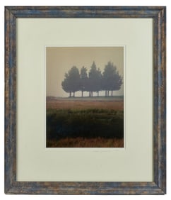 KATE GRISWOLD (b. 1954) Stand of Trees in the Mist