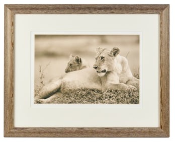 KATE GRISWOLD (b. 1954) Lionesses