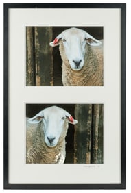 KATE GRISWOLD (b. 1954) Sheep / Diptych