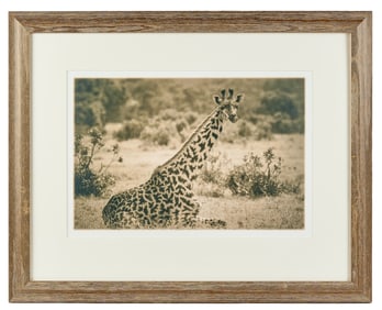 KATE GRISWOLD (b. 1954) Giraffe