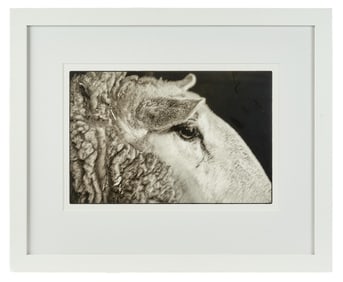 KATE GRISWOLD (b. 1954) Sheep