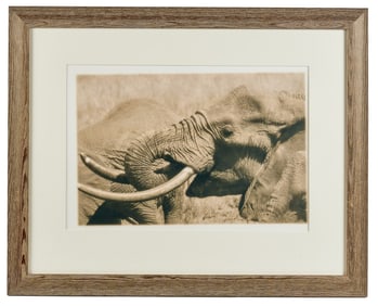 KATE GRISWOLD (b. 1954) Elephant