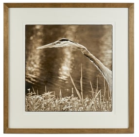 KATE GRISWOLD (b. 1954) Heron I