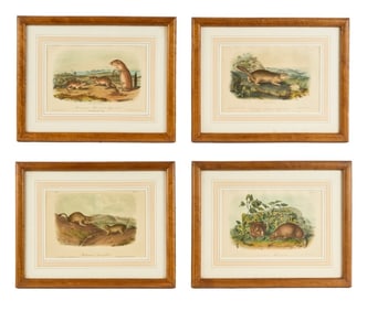 SUITE of (4) JJ AUDUBON SMALL FOLIO LITHOGRAPHS