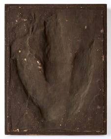 LARGE CASTING of a FOSSILIZED DINOSAUR FOOTPRINT