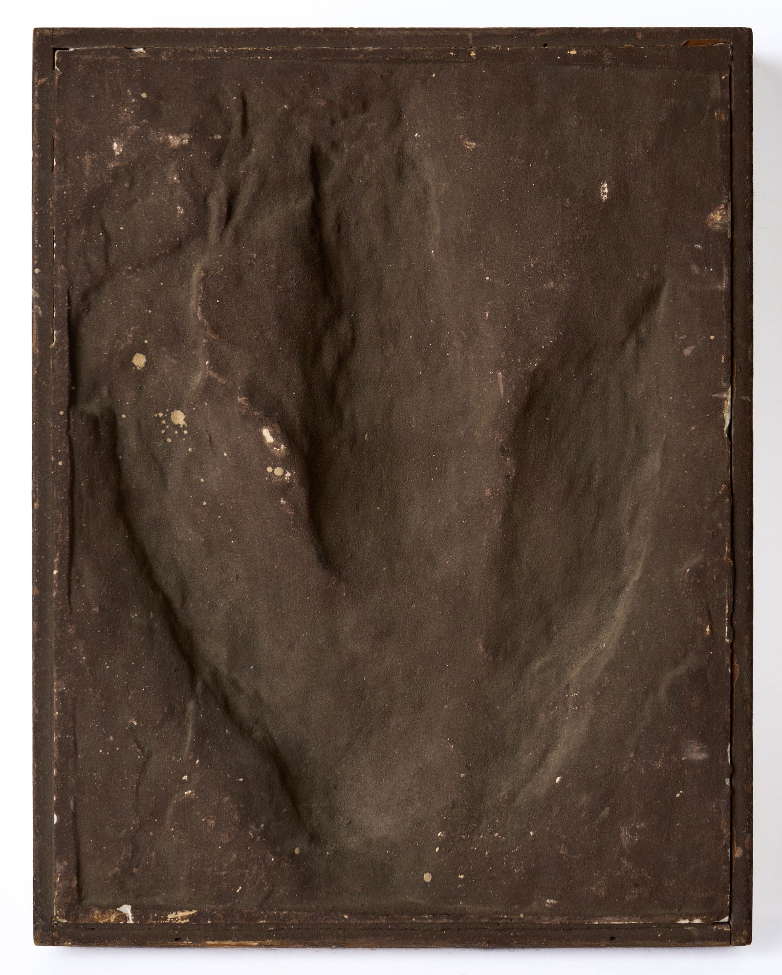 LARGE CASTING of a FOSSILIZED DINOSAUR FOOTPRINT (1 of 8)