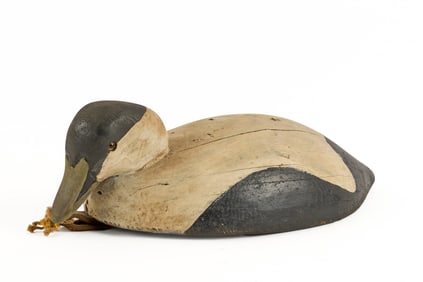CARVED and PAINTED DECOY of a SWIMMING EIDER