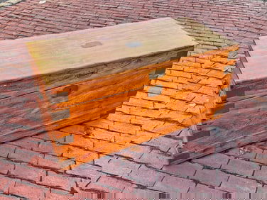 (19th c) CHINESE CAMPHOR WOOD CHEST c 1860