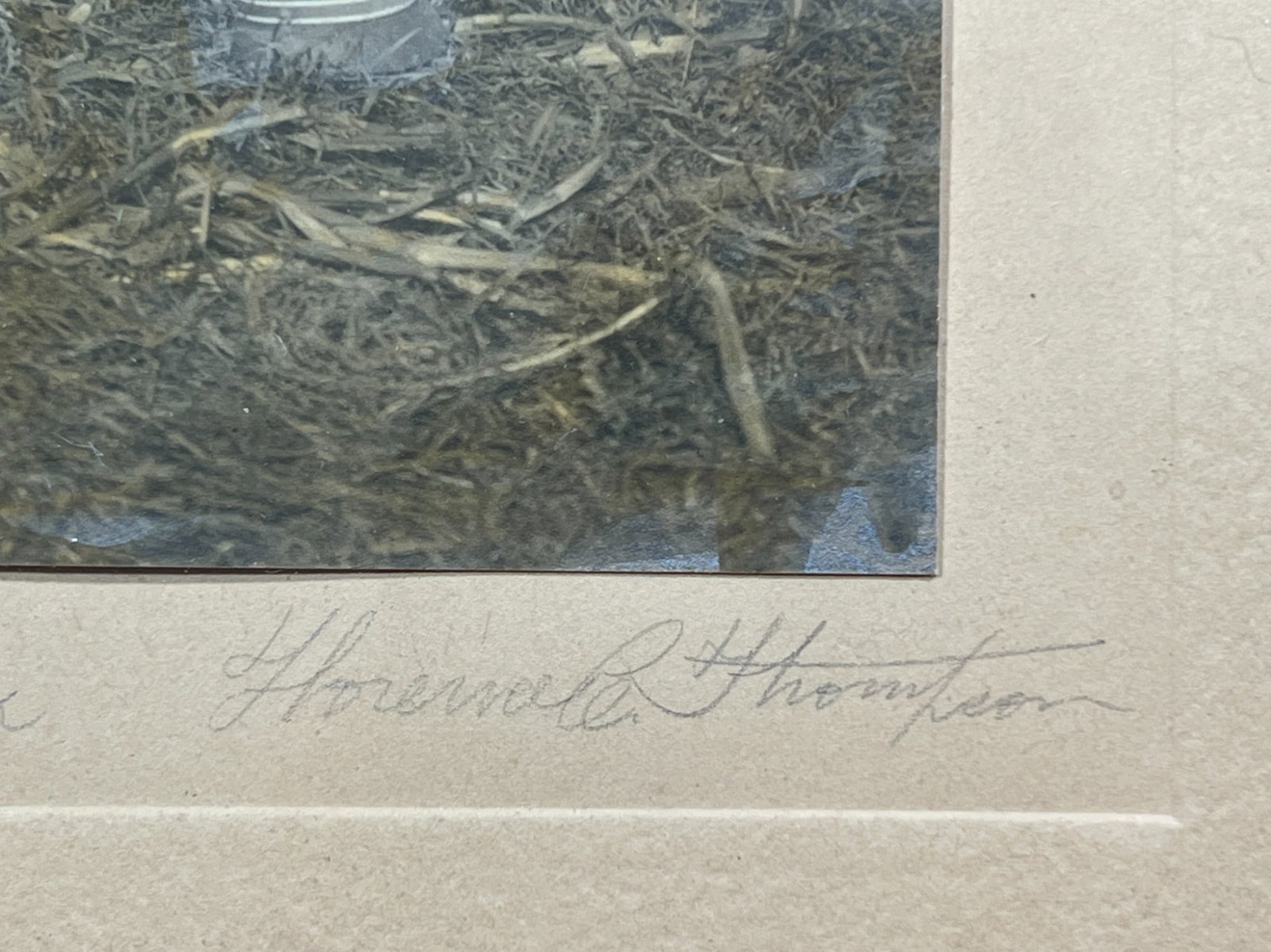 FLORENCE THOMPSON (19th/20th c) Three Works - 5