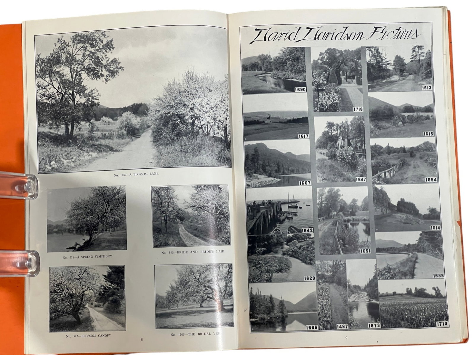 (2) DAVID DAVIDSON CATALOGS - 4