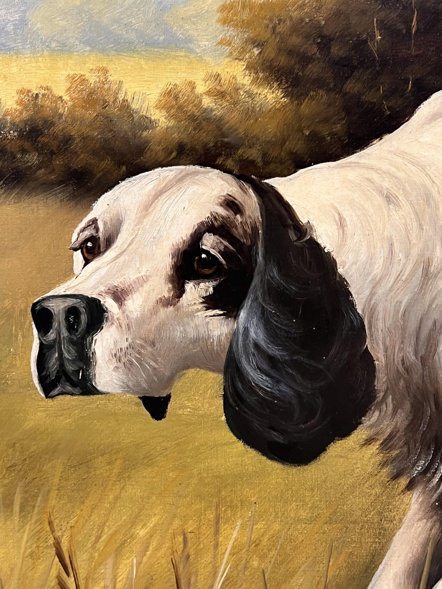 T. BAILEY (19th/20th c) "POINTER" - 5