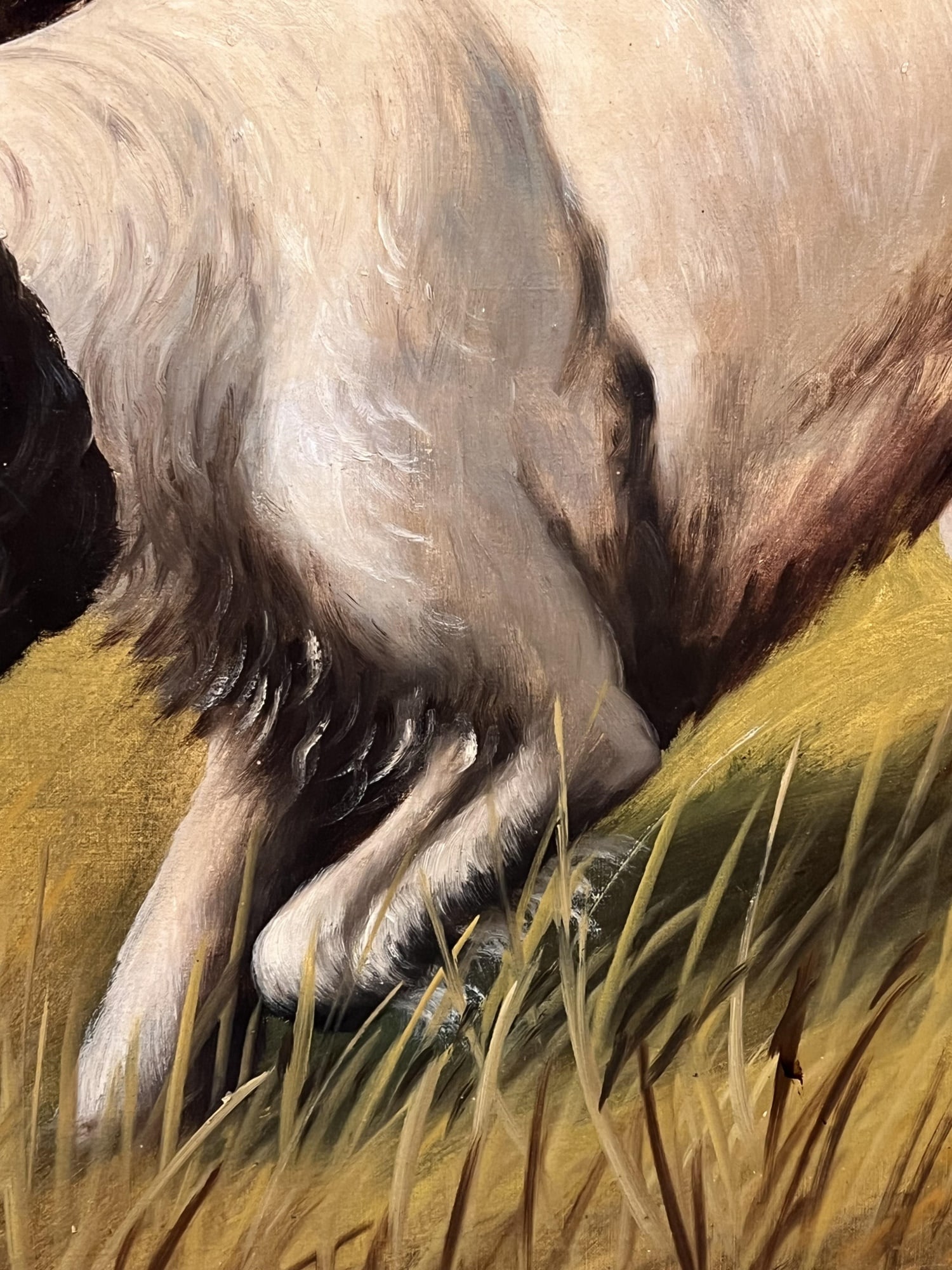 T. BAILEY (19th/20th c) "POINTER" - 6
