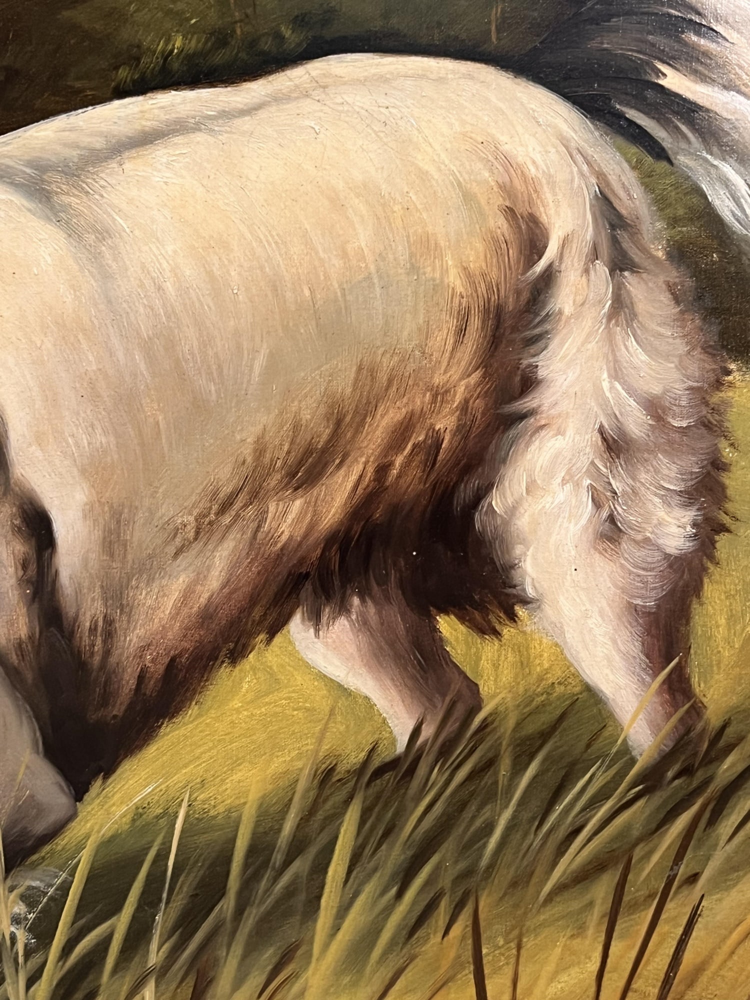T. BAILEY (19th/20th c) "POINTER" - 7