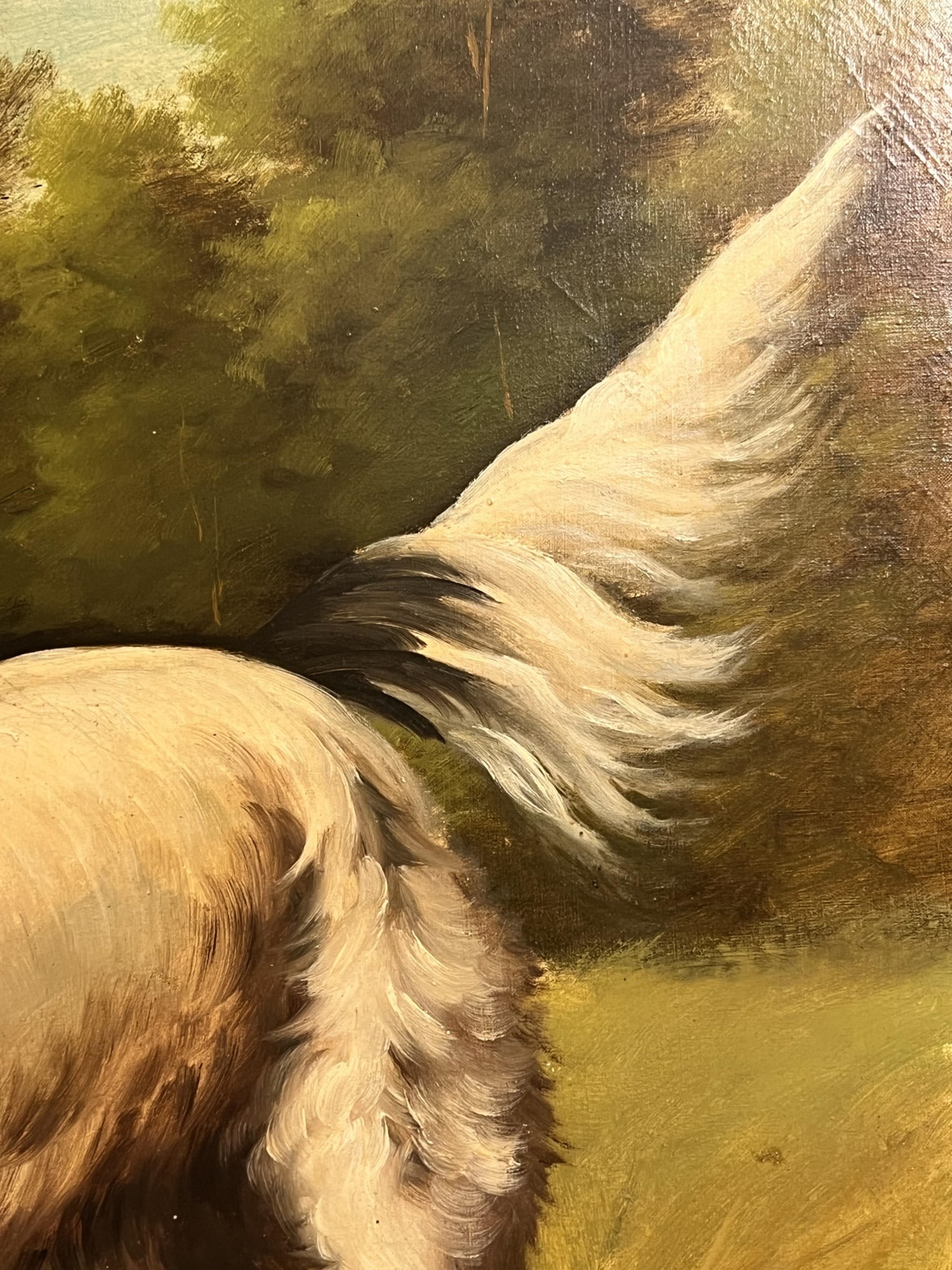 T. BAILEY (19th/20th c) "POINTER" - 8