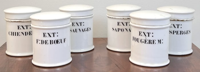 (6) RARE (19th c) FRENCH PHARMACY POTS