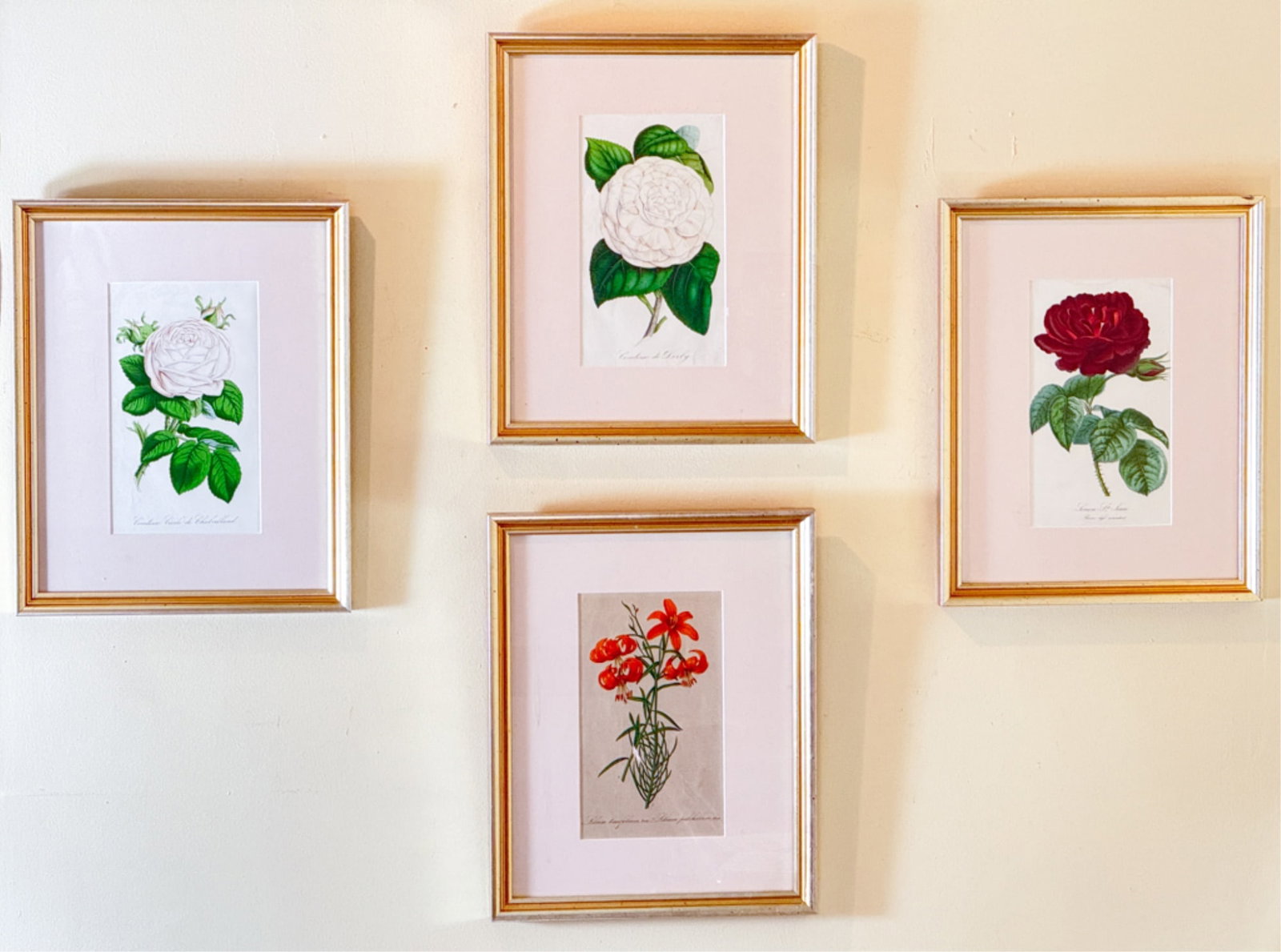 FOUR (19thc) BOTANICAL LITHOS IN MATCHING FRAMES (1 of 6)
