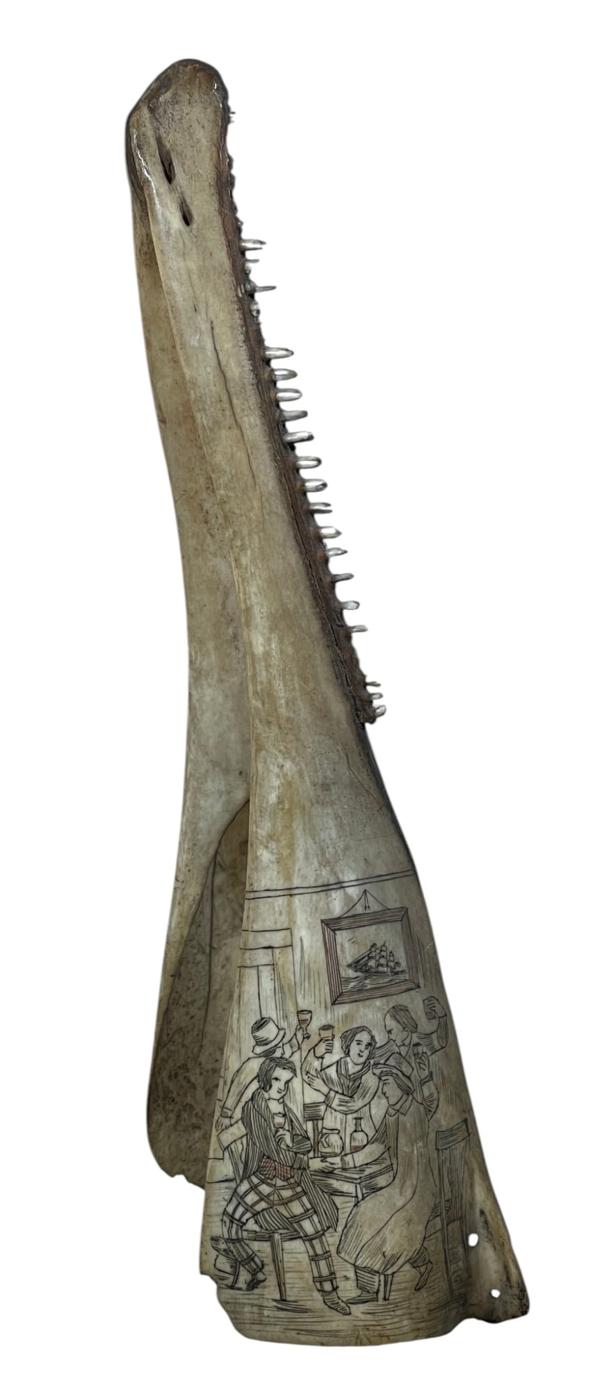 (19th c) SCRIMSHAW DOLPHIN JAW: Dolphin jaw scrimshawed with scenes of tavern regalia and a woman feeding birds. 2 1/2 x 4 3/4 x 11 1/2 inches.